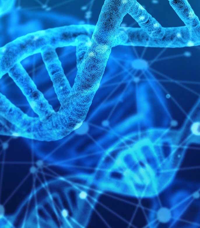 DNA (c) pixabay.com