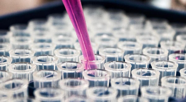 test tubes (c) Louis Reed unsplash
