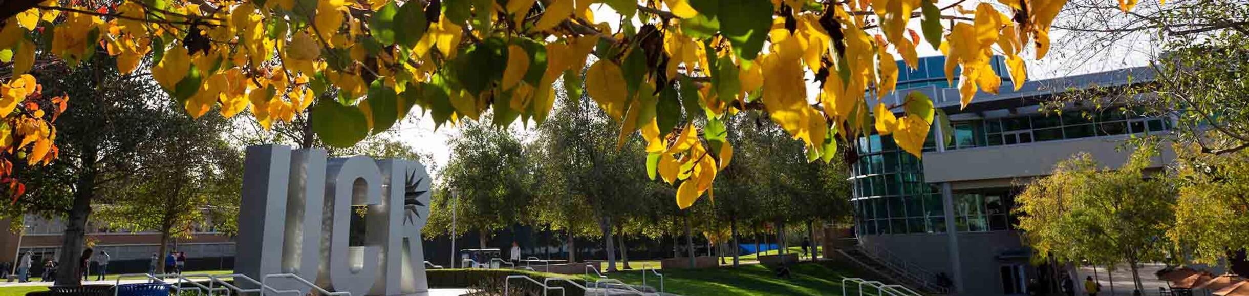 Fall colors, UCR sign, CNAS Scholarships 2020-2021