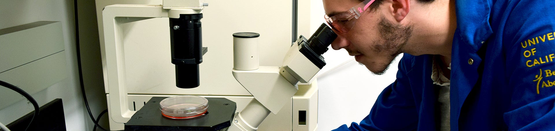 Tom Benedict looking through a microscope (c) UCR/CNAS
